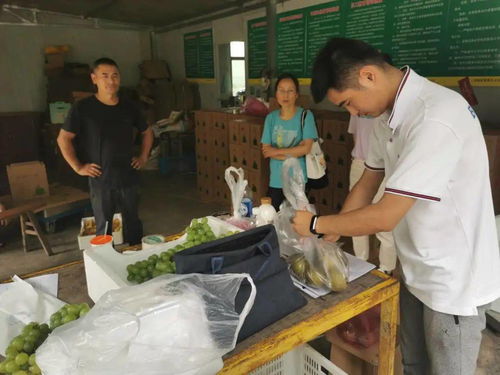 加强农产品质量安全监管，筑牢消费者食用安全防线